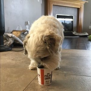 Meet your Posher, Cade